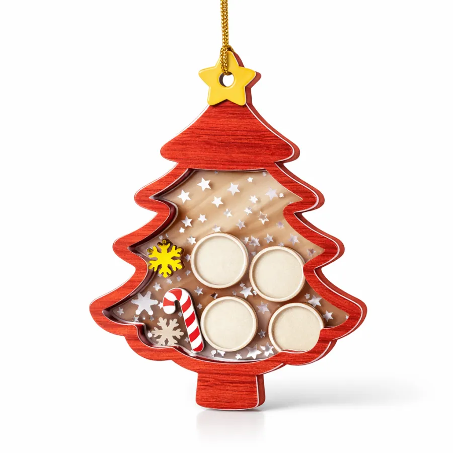 Acrylic Shaker Ornament