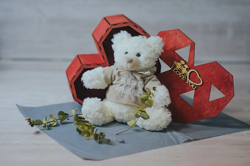 Peluche “Plushik”