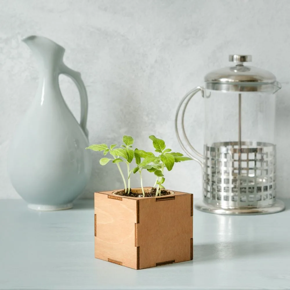 Grow Kit “Eco Cube Lite”