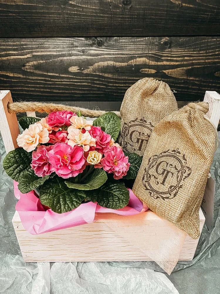 Geschenkarrangement „Tea Compliment Eco“: Pflanze und Leinentee