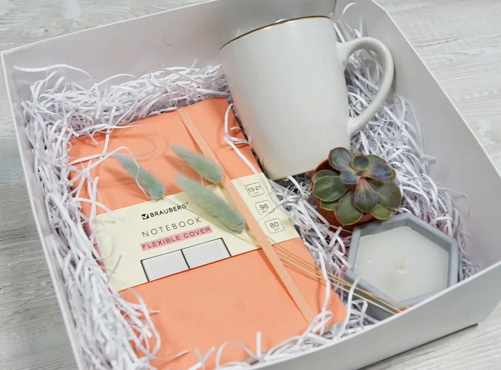 Gift Set “Cosy Corner”: Mug, Notebook and Succulent
