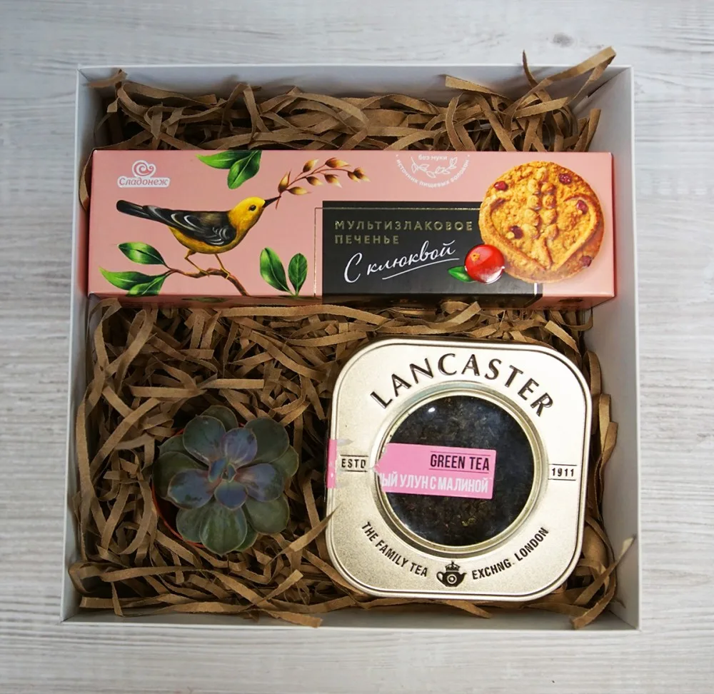 Geschenkset „Delight“: Grüntee, Gebäck und Sukkulente