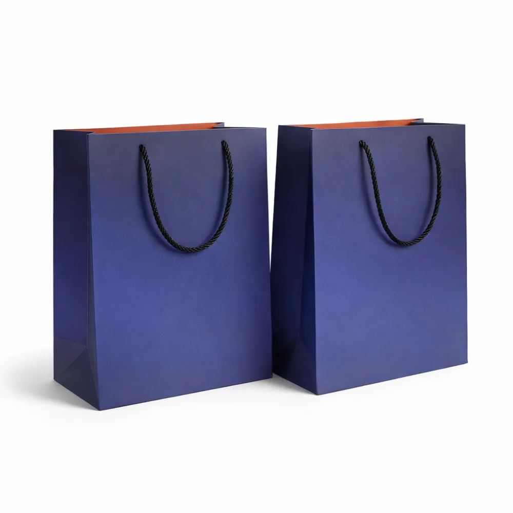 Coated Paper Gift Bag